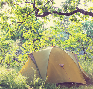 在森林中的帐篷