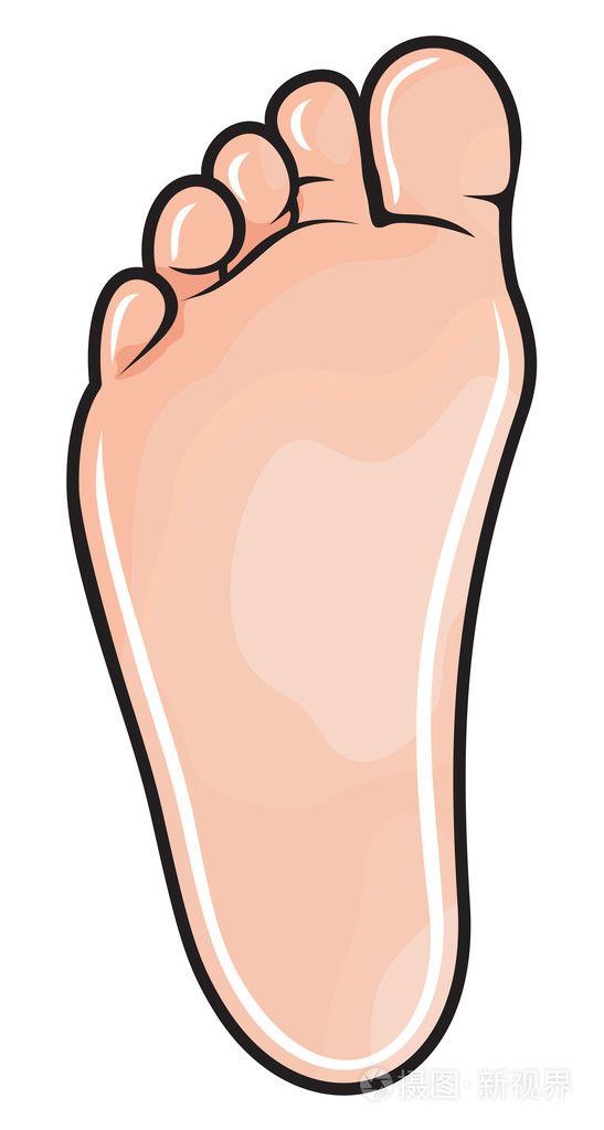 人体足部插画-正版商用图片1f0pb9-摄图新视界