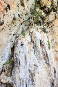 在 rilay 甲米泰国登山