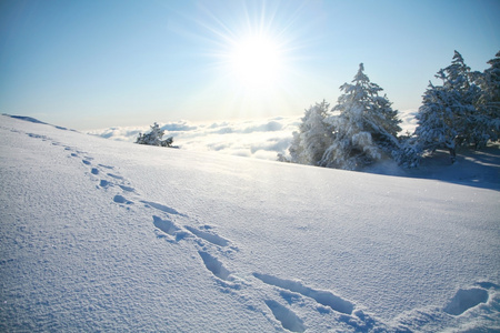 在雪中的脚印