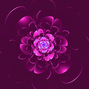 美丽的紫色花，紫色的背景上。生成计算机