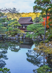 被选中的那 kaiyushiki，在京都银阁寺池塘漫步花园
