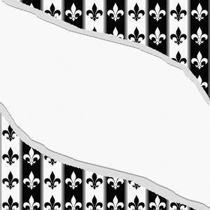 撕裂纹理的织物高建群的黑色和白色芙蓉德 lis 模式