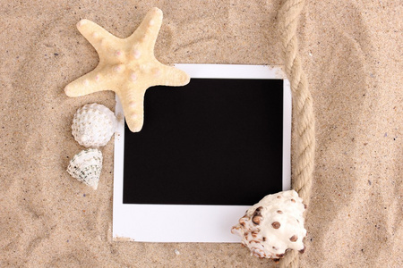 与贝壳和沙滩上的海星图片图片