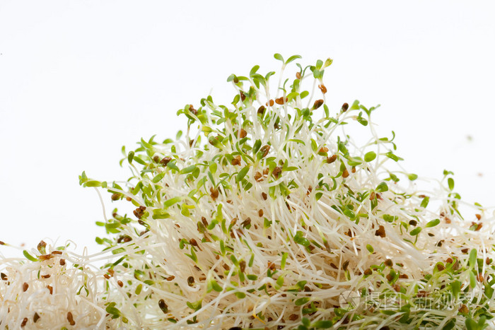 健康的饮食习惯.孤立在白色背景上的新鲜豆芽