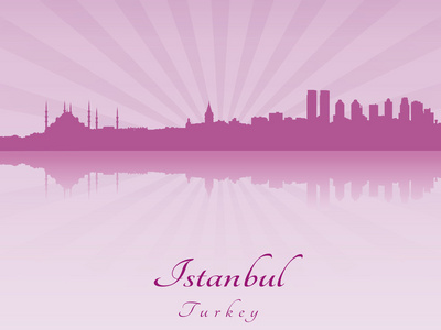紫色的辐射兰花的伊斯坦布尔天际线