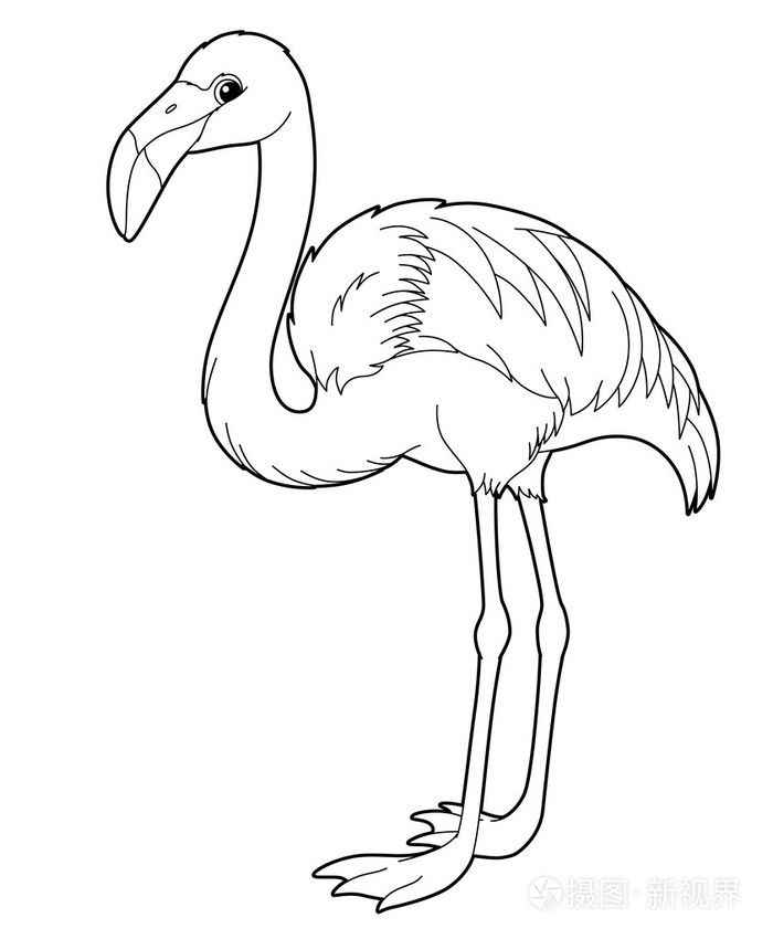 火烈鸟卡通动物