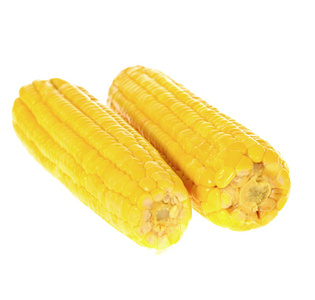 在白色背景上孤立的成熟黄玉米