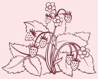 布什的草莓图片