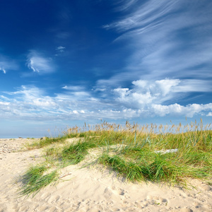 波罗的海海岸沙质海滩