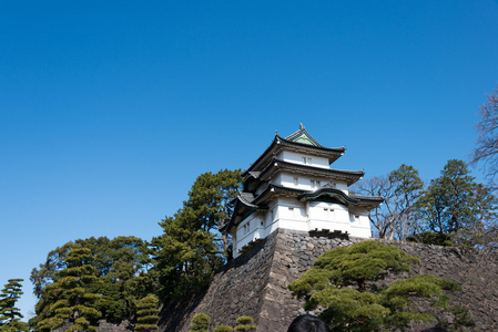 富士橹 mt 富士视图保持，皇家宫殿，东京日本