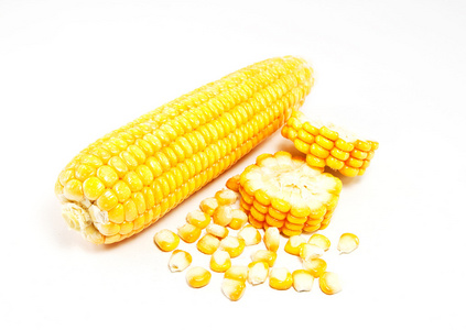 玉米在白色背景上孤立