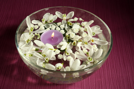 美丽的雪花莲和用水，紫色背景上的玻璃碗中的蜡烛