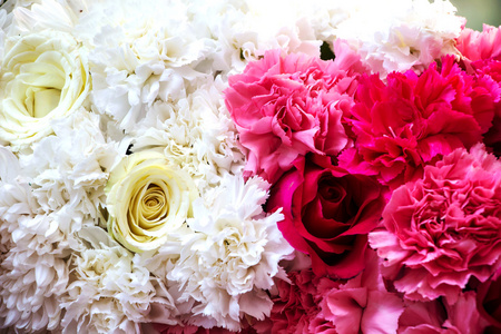 白色和粉红色的花朵