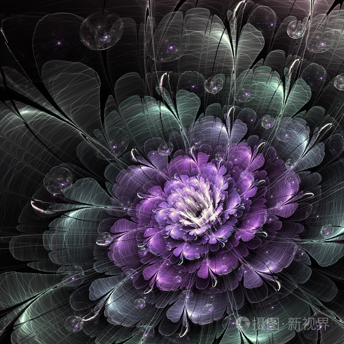 黑暗的分形花与气泡,数码艺术作品的平面创意设计