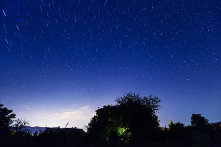 夜晚繁星密布的天空，与树的剪影