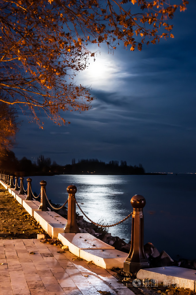 巴拉顿湖在月光下