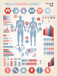医疗信息图表元素。人体内部器官
