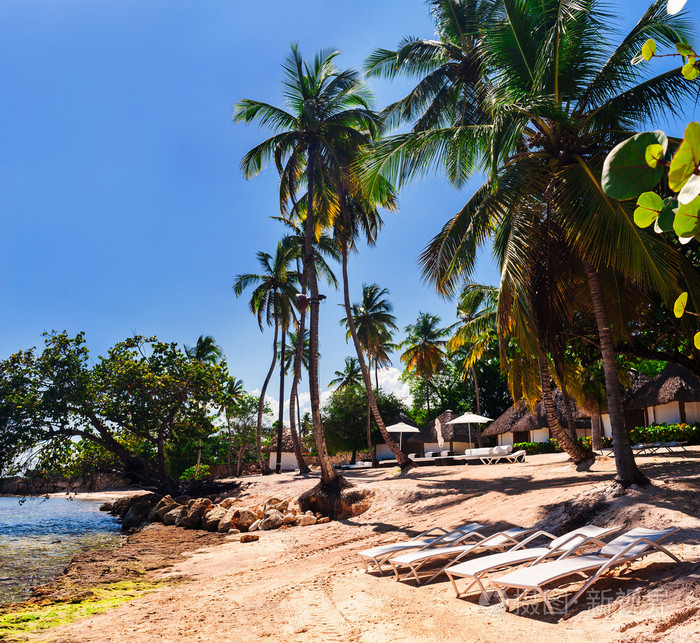 热带海滩日光浴浴床与在夏天伞