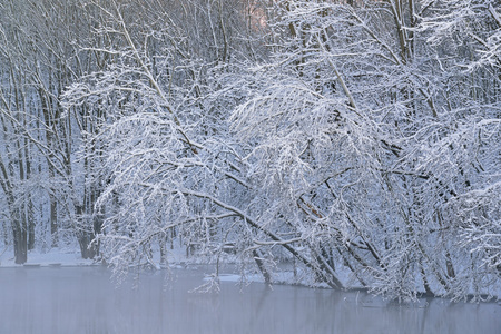 Winter Kstenlinie Kalamazoo river