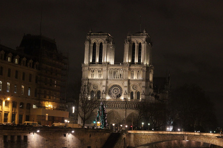 巴黎圣母院夜巴黎图片