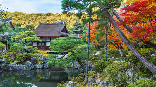 被选中的那 kaiyushiki，在京都银阁寺池塘漫步花园