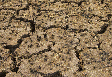 已经垦殖的土地贫瘠的土地照片