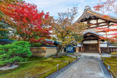 在京都的 kodaiji 寺