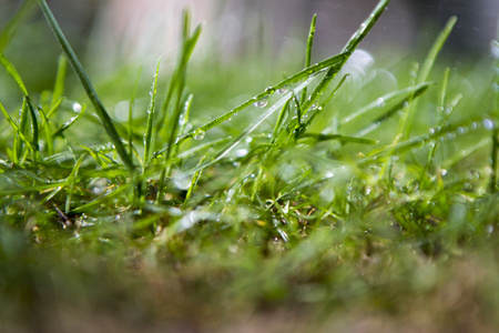 雨