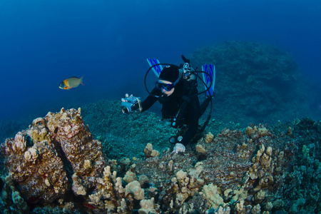潜水员的礁石拍摄