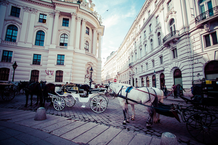传统的马车 fiaker 马车在维也纳，奥地利著名的霍夫堡宫