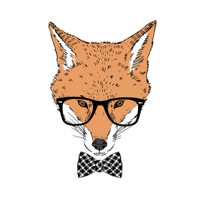 狐狸时髦的时尚肖像