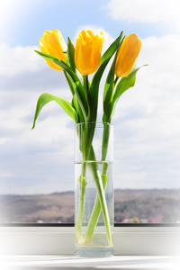 窗台上花瓶里的黄色郁金香