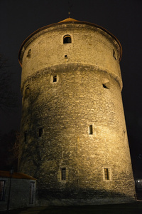 塔林城堡塔的夜景