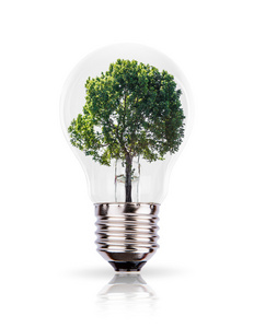 生态概念 绿树生长在一个灯泡
