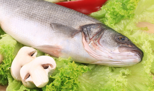 海鲈鱼配生菜