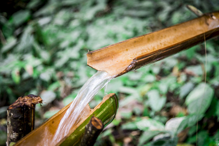 水花从竹子到 bamboo3