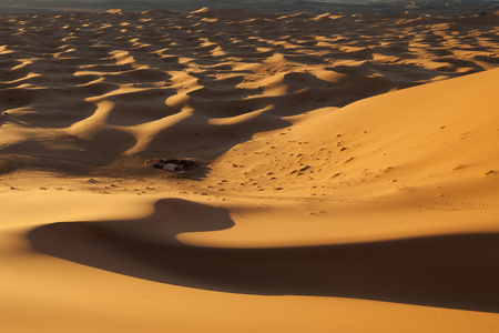 在撒哈拉大沙漠，摩洛哥的柏柏尔营地