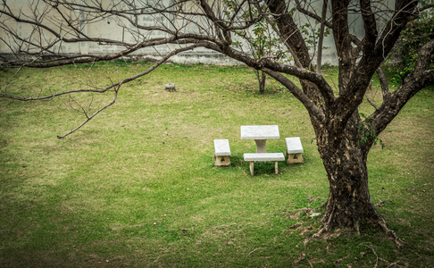 石头座椅及桌子用 garden3 的死树设置