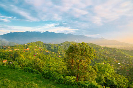 美丽的夏季山景。