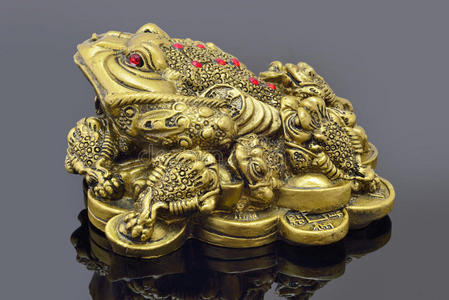 蛙和两块钱金钱青蛙由玉在白色背景金钱青蛙由玉在白色背景金钱青蛙