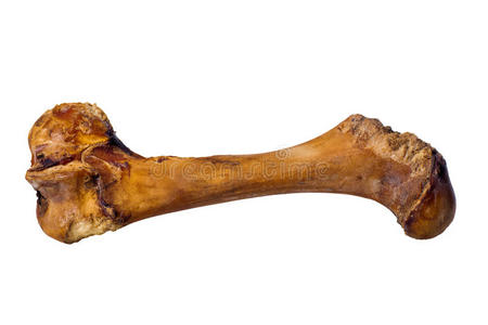 狗骨头图片