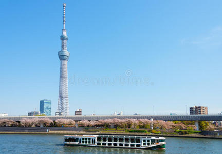 东京天空树