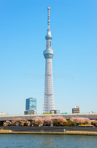 东京天空树