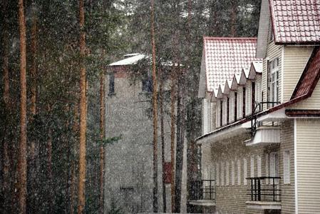 雪景林屋塔楼