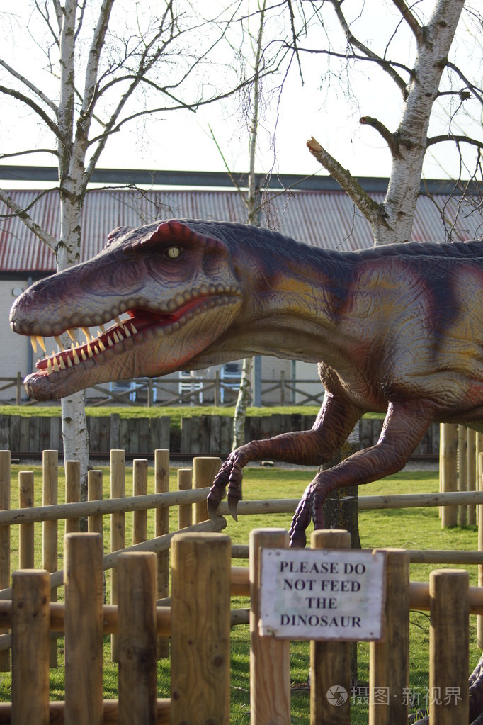 异特龙脆弱类杆菌异特龙