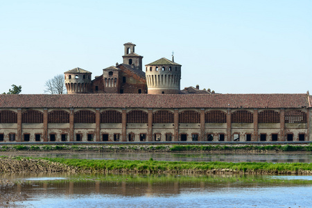 valeggio 与前景，lomellina 它稻田的城堡