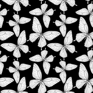 无缝背景的黑色和白色的蝴蝶的颜色