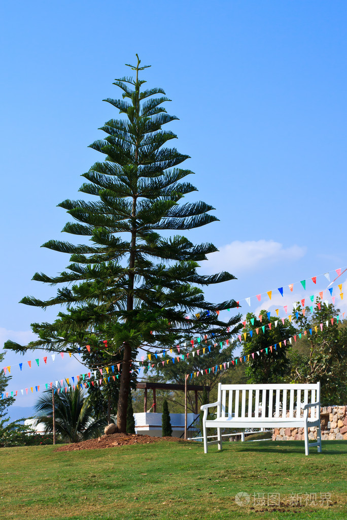 松树与白色的椅子