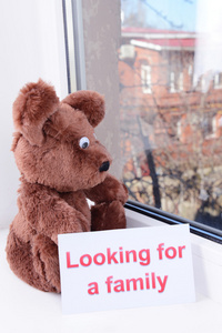 玩具熊望向窗口特写
